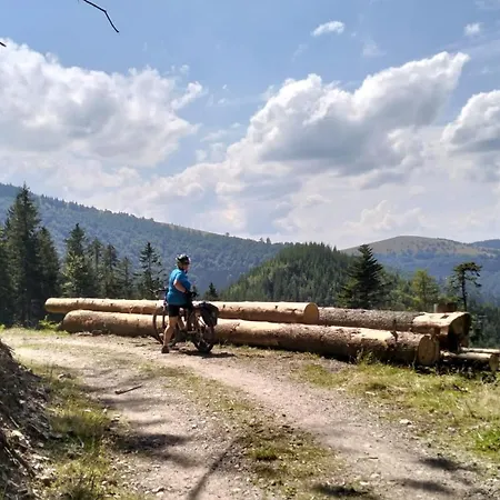 Almet Apartmanove 206 *