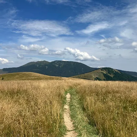 Appartement Almet Apartmanove 206 *