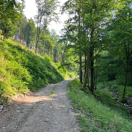 Almet Apartmanove 206 Apartment Donovaly