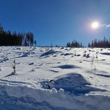 Almet Apartmanove 206 Apartment *