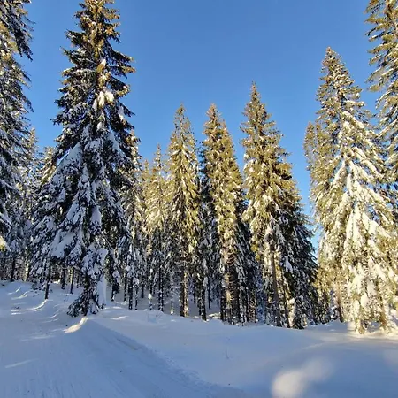 Almet Apartmanove 206 Apartment Donovaly