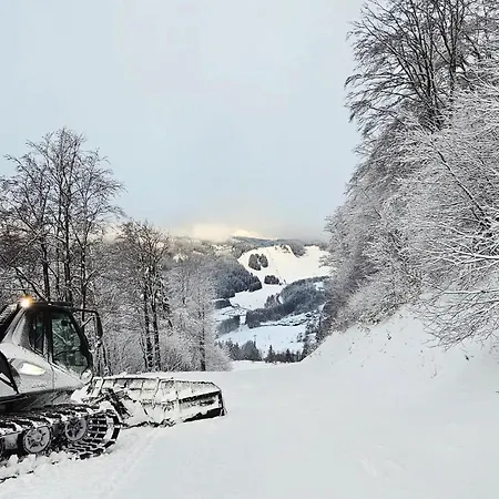 Almet Apartmanove 206 * Donovaly