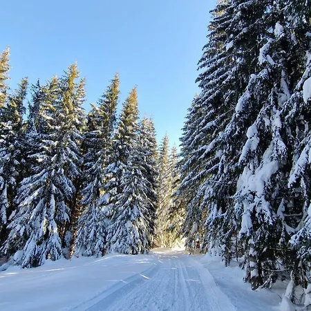 Almet Apartmanove 206 Apartment Donovaly