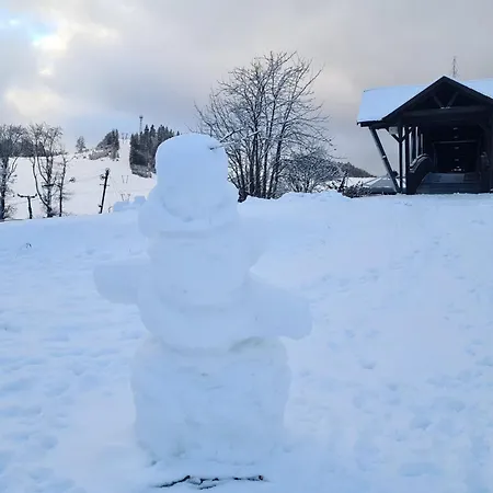 Apartment Almet Apartmanove 206 *