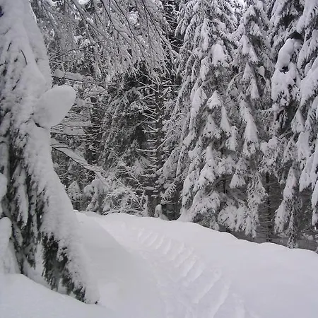 Almet Apartmanove 206 *