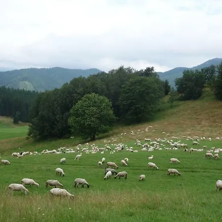 Apartment Almet Apartmanove 206