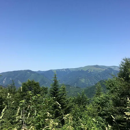 Almet Apartmanove 206 Apartment