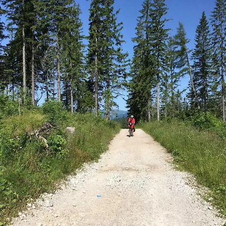 Apartman Almet Apartmanove 206 *