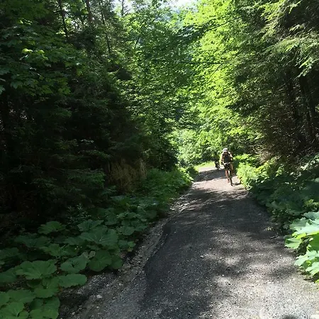 Almet Apartmanove 206 Apartman