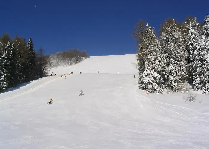 Almet Apartmanove 206 Apartment